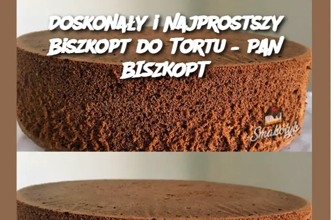 Doskonały i Najprostszy Biszkopt do Tortu – PAN BISZKOPT