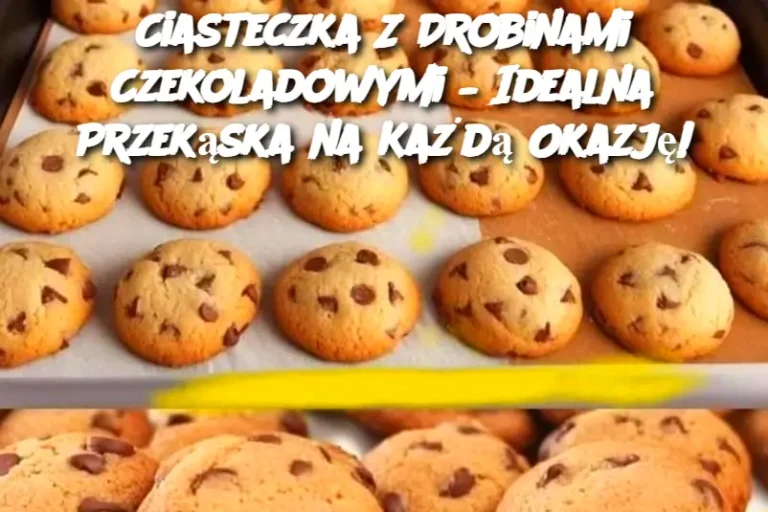 Ciasteczka Z Drobinami Czekoladowymi – Idealna Przekąska na Każdą Okazję!